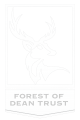 Forest of dean